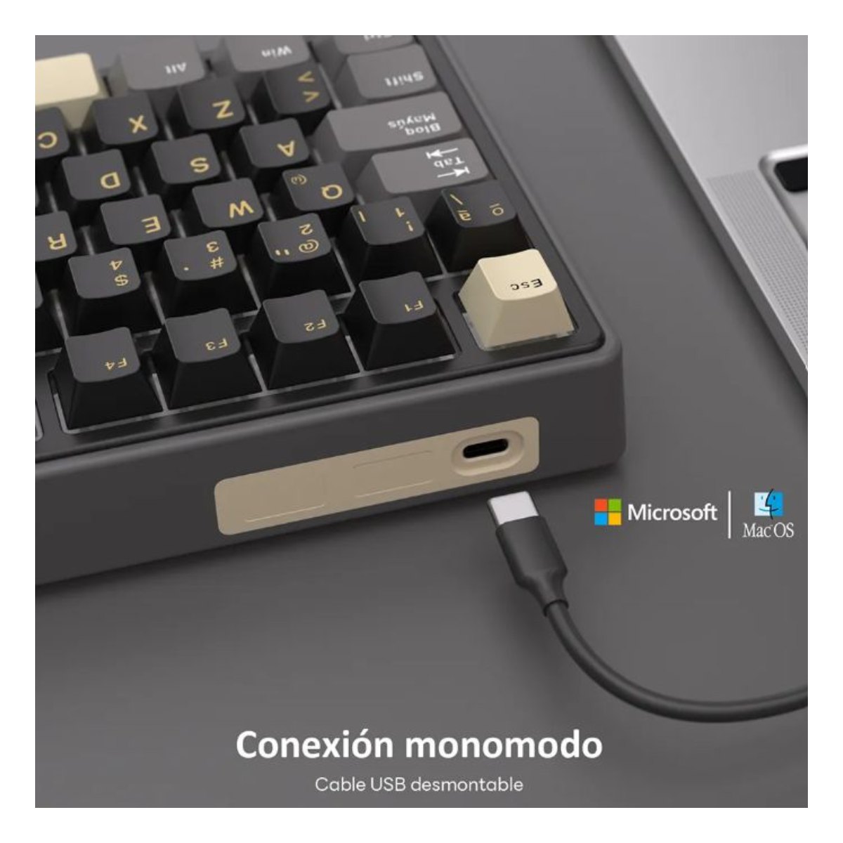 Teclado Mecánico Gamer Compacto RK R75 Phantom Switch Silver RGB Español